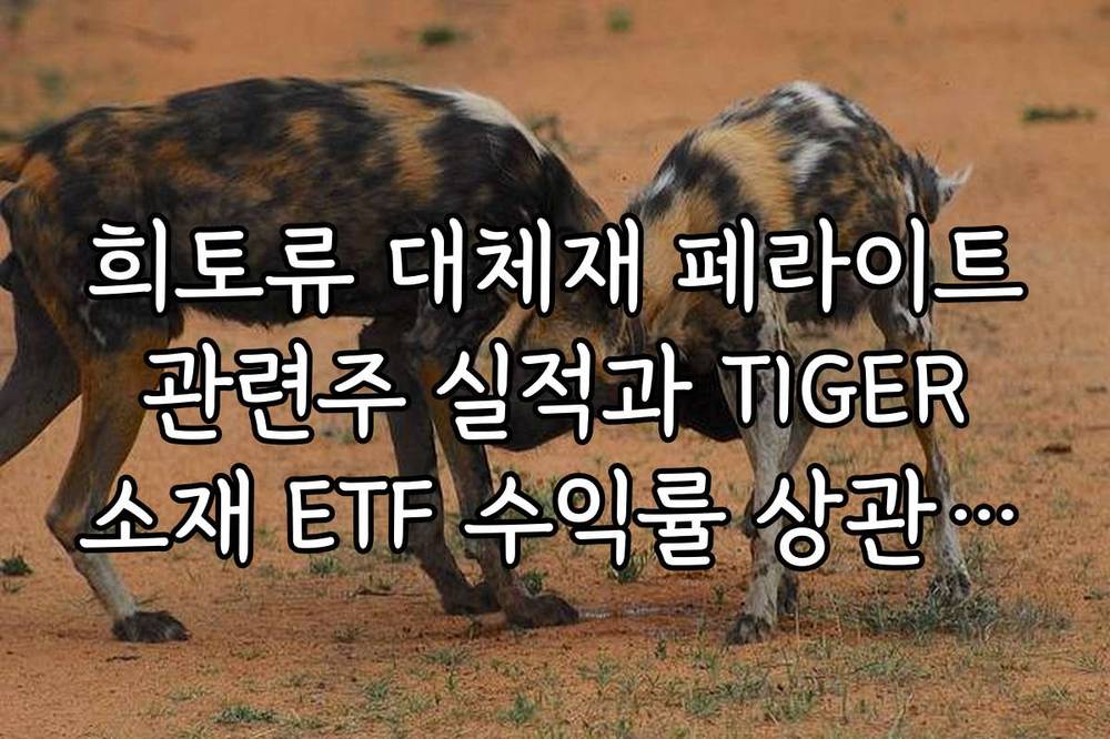 희토류 대체재 페라이트 관련주 실적과 TIGER 소재 ETF 수익률 상관관계 정리