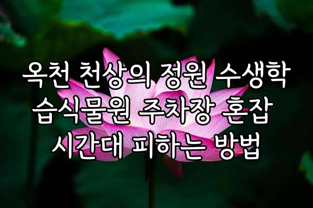 옥천 천상의 정원 수생학습식물원 주차장 혼잡 시간대 피하는 방법