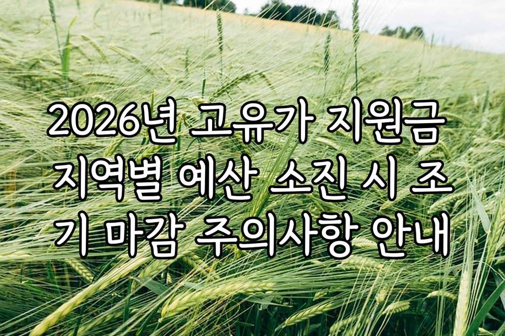 2026년 고유가 지원금 지역별 예산 소진 시 조기 마감 주의사항 안내