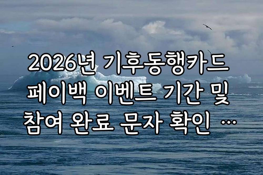 2026년 기후동행카드 페이백 이벤트 기간 및 참여 완료 문자 확인 방법