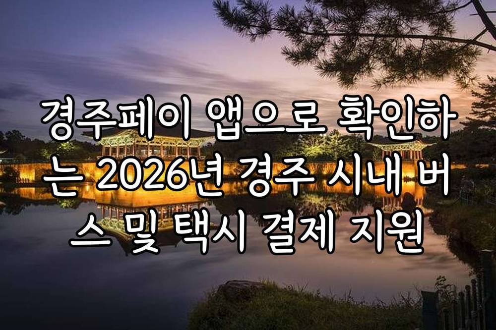 경주페이 앱으로 확인하는 2026년 경주 시내 버스 및 택시 결제 지원