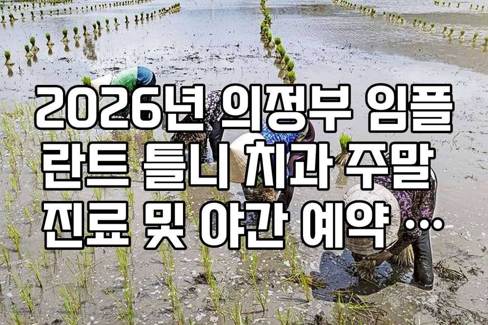 2026년 의정부 임플란트 틀니 치과 주말 진료 및 야간 예약 가능 지점