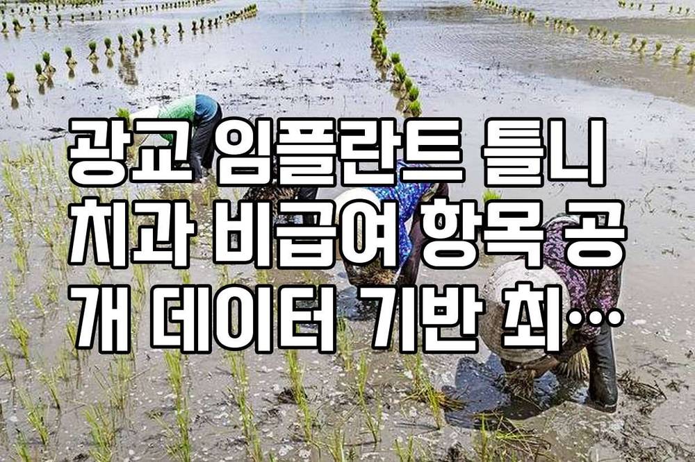 광교 임플란트 틀니 치과 비급여 항목 공개 데이터 기반 최저가 확인