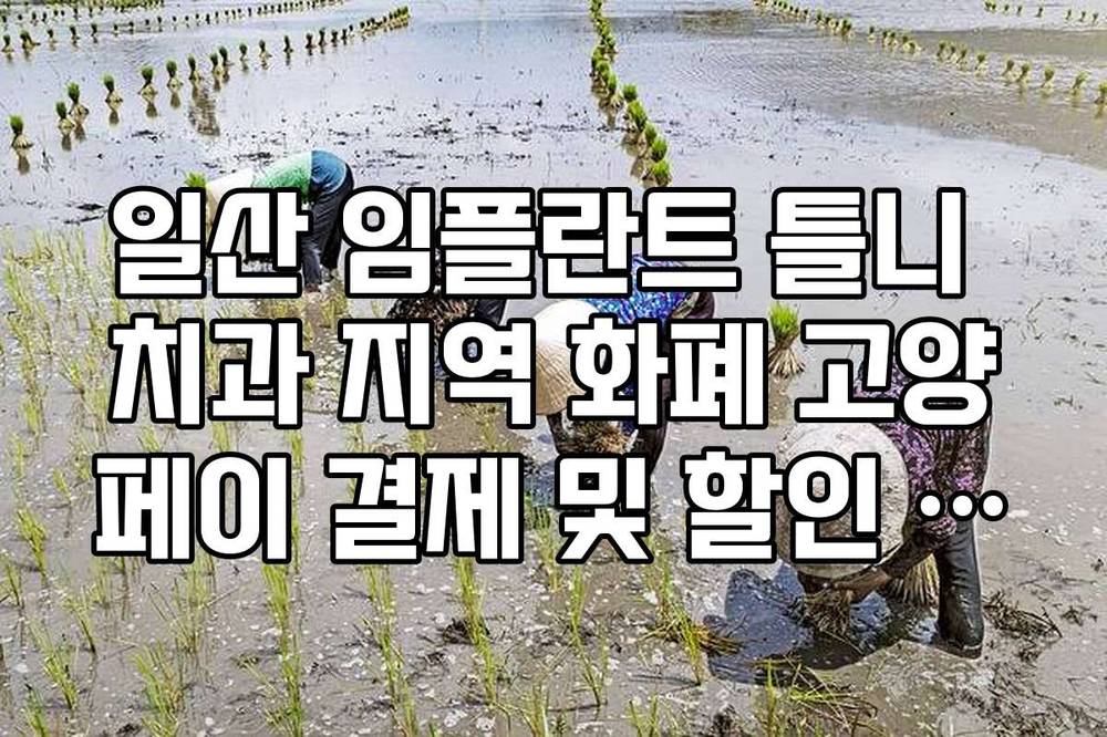 일산 임플란트 틀니 치과 지역 화폐 고양페이 결제 및 할인 혜택 안내