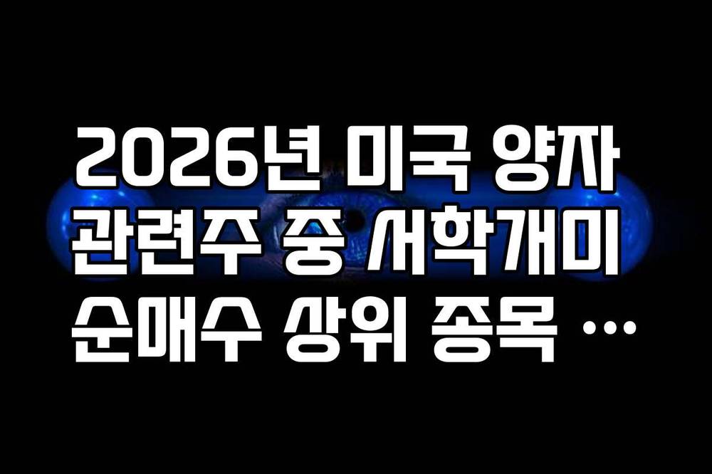 2026년 미국 양자 관련주 중 서학개미 순매수 상위 종목 변화 추이