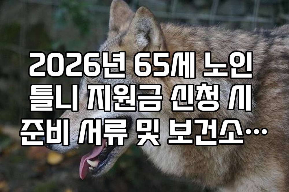 2026년 65세 노인 틀니 지원금 신청 시 준비 서류 및 보건소 방문 절차