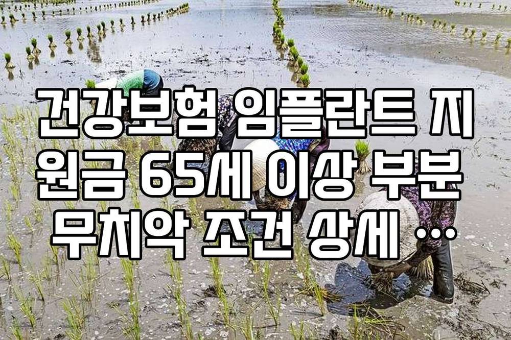 건강보험 임플란트 지원금 65세 이상 부분 무치악 조건 상세 안내