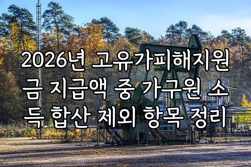 2026년 고유가피해지원금 지급액 중 가구원 소득 합산 제외 항목 정리