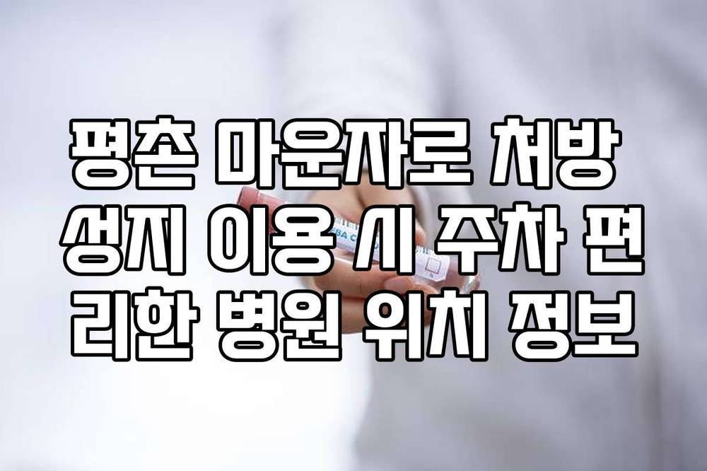 평촌 마운자로 처방 성지 이용 시 주차 편리한 병원 위치 정보