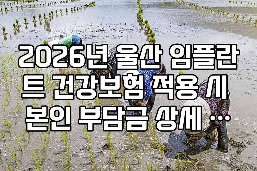 2026년 울산 임플란트 건강보험 적용 시 본인 부담금 상세 계산