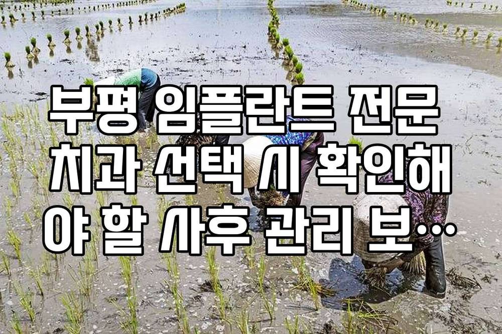 부평 임플란트 전문 치과 선택 시 확인해야 할 사후 관리 보증서