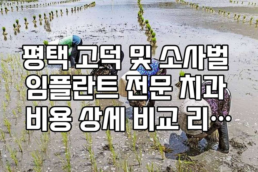 평택 고덕 및 소사벌 임플란트 전문 치과 비용 상세 비교 리스트