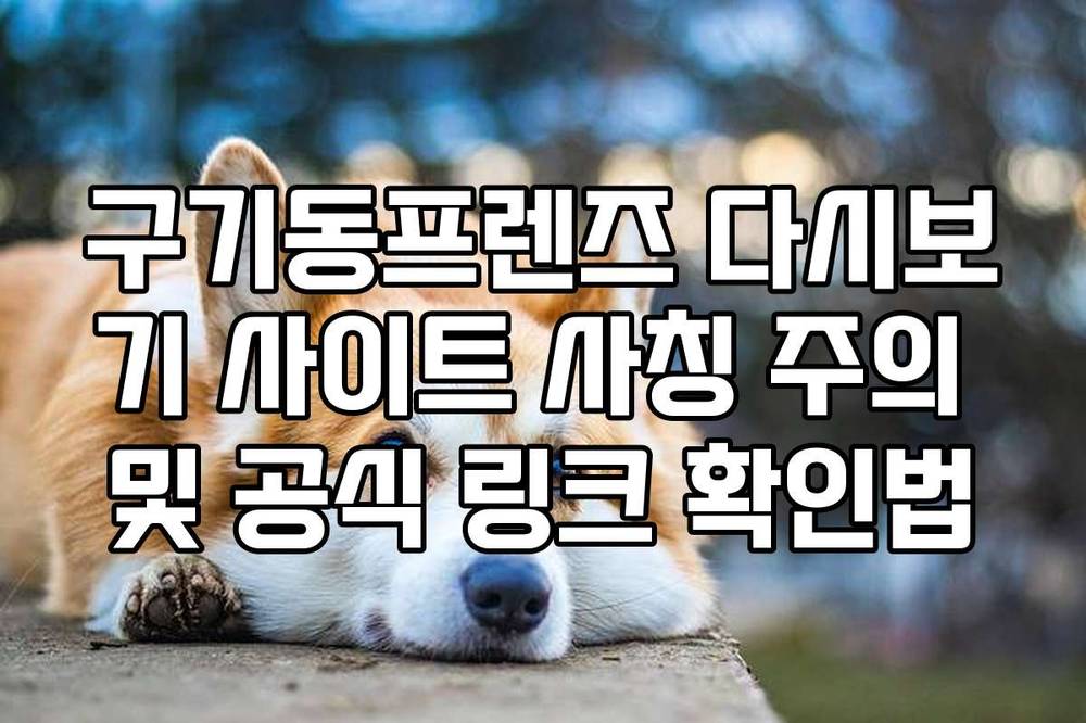 구기동프렌즈 다시보기 사이트 사칭 주의 및 공식 링크 확인법
