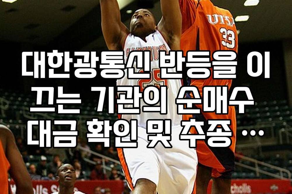 대한광통신 반등을 이끄는 기관의 순매수 대금 확인 및 추종 매매 팁