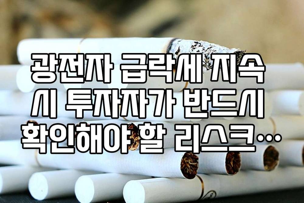 광전자 급락세 지속 시 투자자가 반드시 확인해야 할 리스크 체크리스트