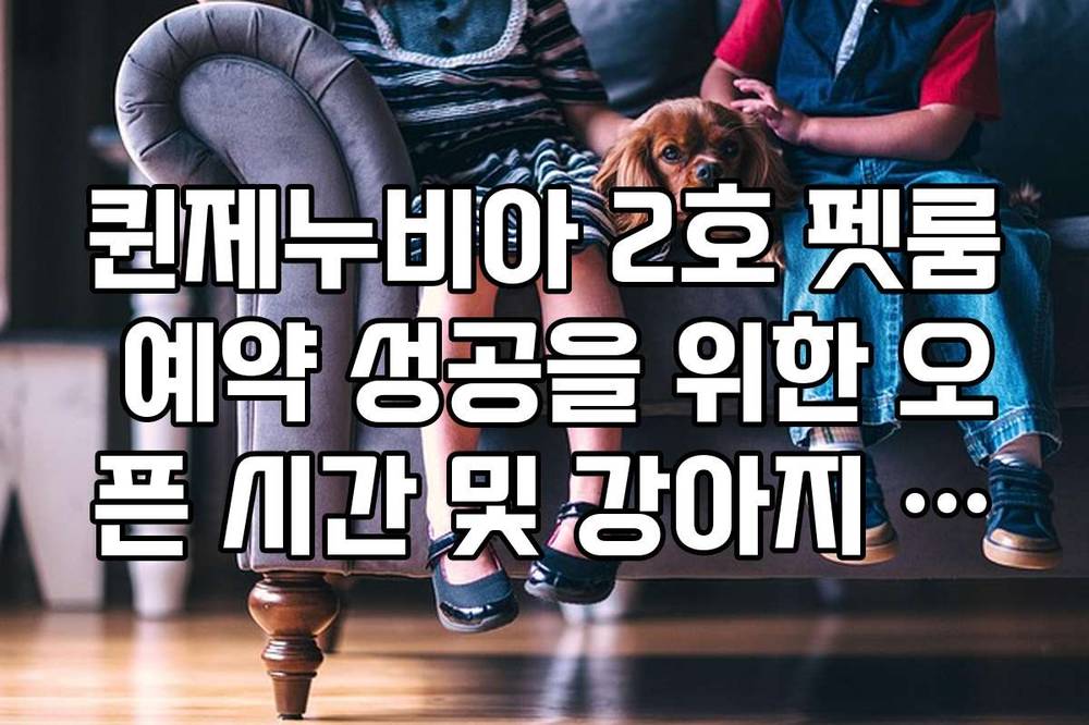 퀸제누비아 2호 펫룸 예약 성공을 위한 오픈 시간 및 강아지 동반 승선법