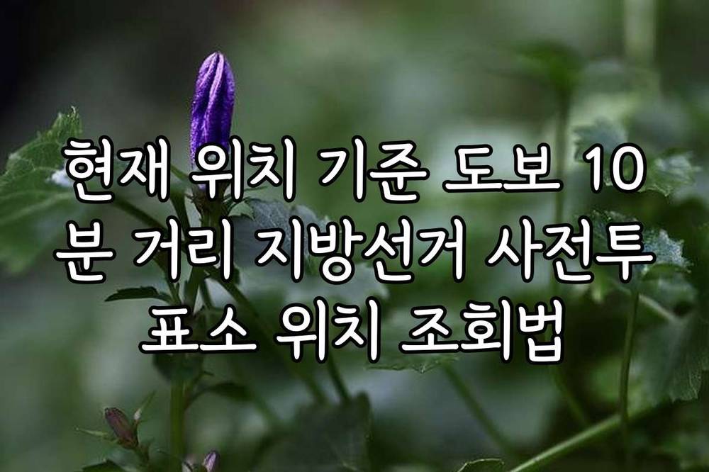 현재 위치 기준 도보 10분 거리 지방선거 사전투표소 위치 조회법