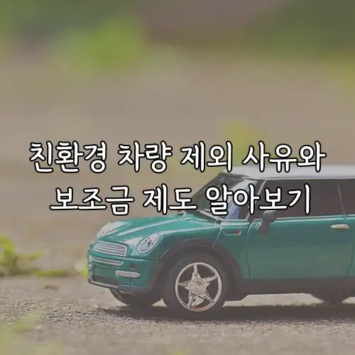 친환경 차량 제외 사유와 보조금 제도 알아보기