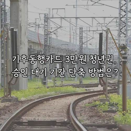 기후동행카드 3만원 청년권, 승인 대기 기간 단축 방법은?