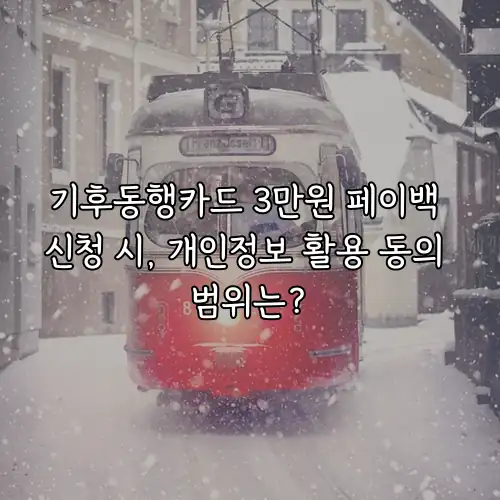 기후동행카드 3만원 페이백 신청 시, 개인정보 활용 동의 범위는?