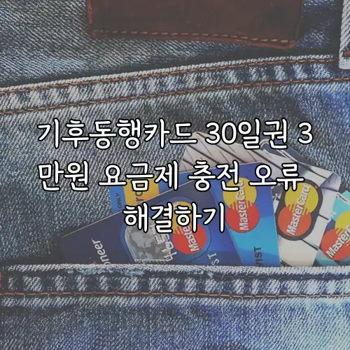 기후동행카드 30일권 3만원 요금제 충전 오류 해결하기