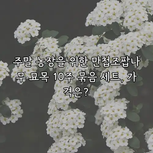 주말 농장을 위한 만첩조팝나무 묘목 10주 묶음 세트, 가격은?