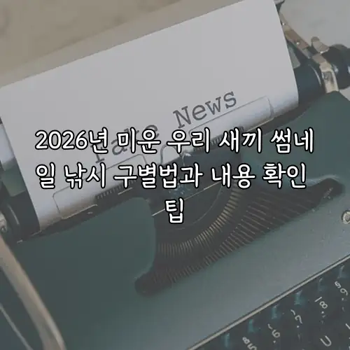 2026년 미운 우리 새끼 썸네일 낚시 구별법과 내용 확인 팁