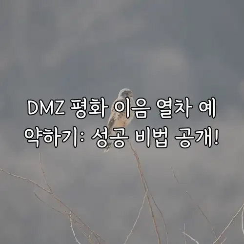 DMZ 평화 이음 열차 예약하기: 성공 비법 공개!