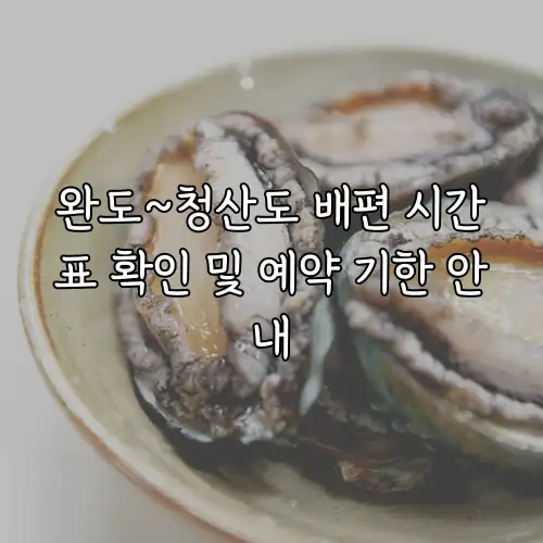 완도~청산도 배편 시간표 확인 및 예약 기한 안내