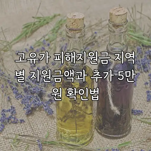 고유가 피해지원금 지역별 지원금액과 추가 5만원 확인법