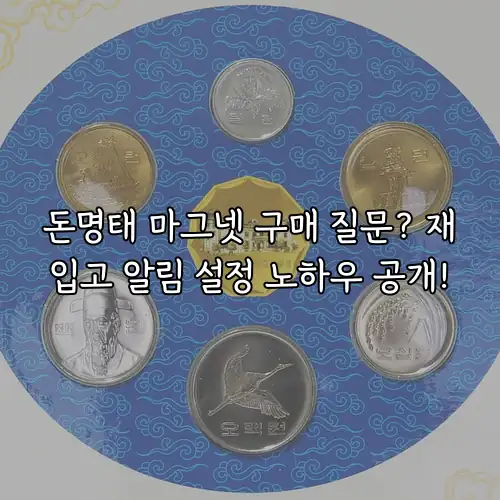 돈명태 마그넷 구매 질문? 재입고 알림 설정 노하우 공개!