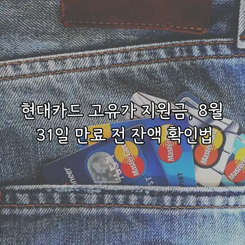 현대카드 고유가 지원금, 8월 31일 만료 전 잔액 확인법