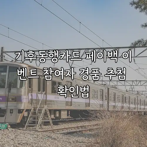 기후동행카드 페이백 이벤트 참여자 경품 추첨 확인법