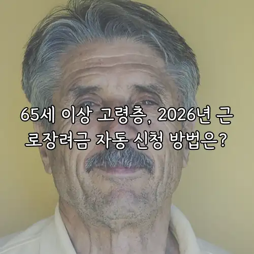 65세 이상 고령층, 2026년 근로장려금 자동 신청 방법은?