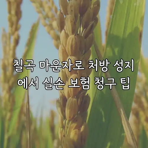 칠곡 마운자로 처방 성지에서 실손 보험 청구 팁