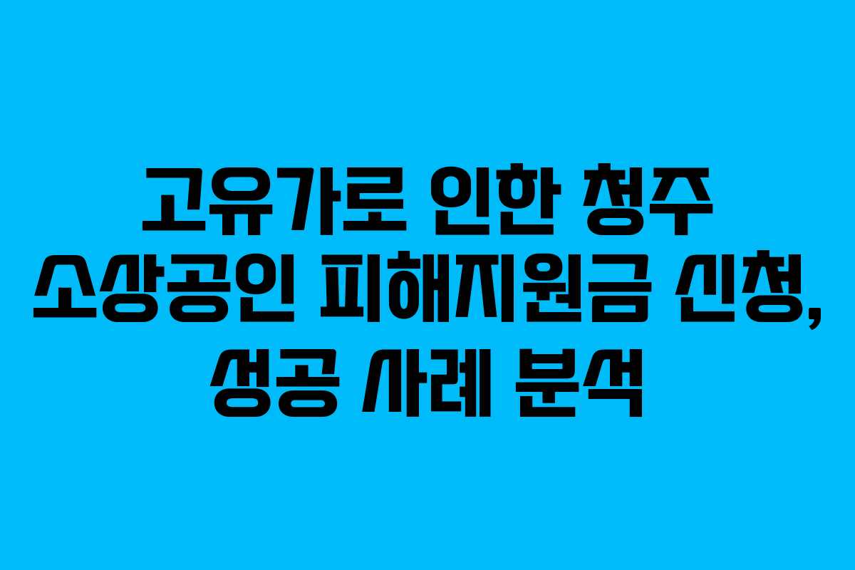고유가로 인한 청주 소상공인 피해지원금 신청, 성공 사례 분석
