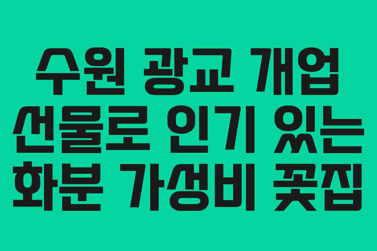 수원 광교 개업 선물로 인기 있는 화분 가성비 꽃집