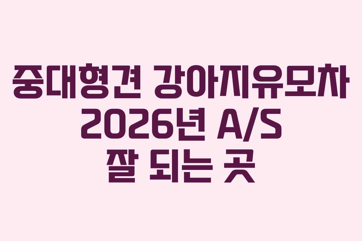 중대형견 강아지유모차 2026년 A/S 잘 되는 곳 중대형견 강아지유모차 2026년 A/S 잘 되는 곳