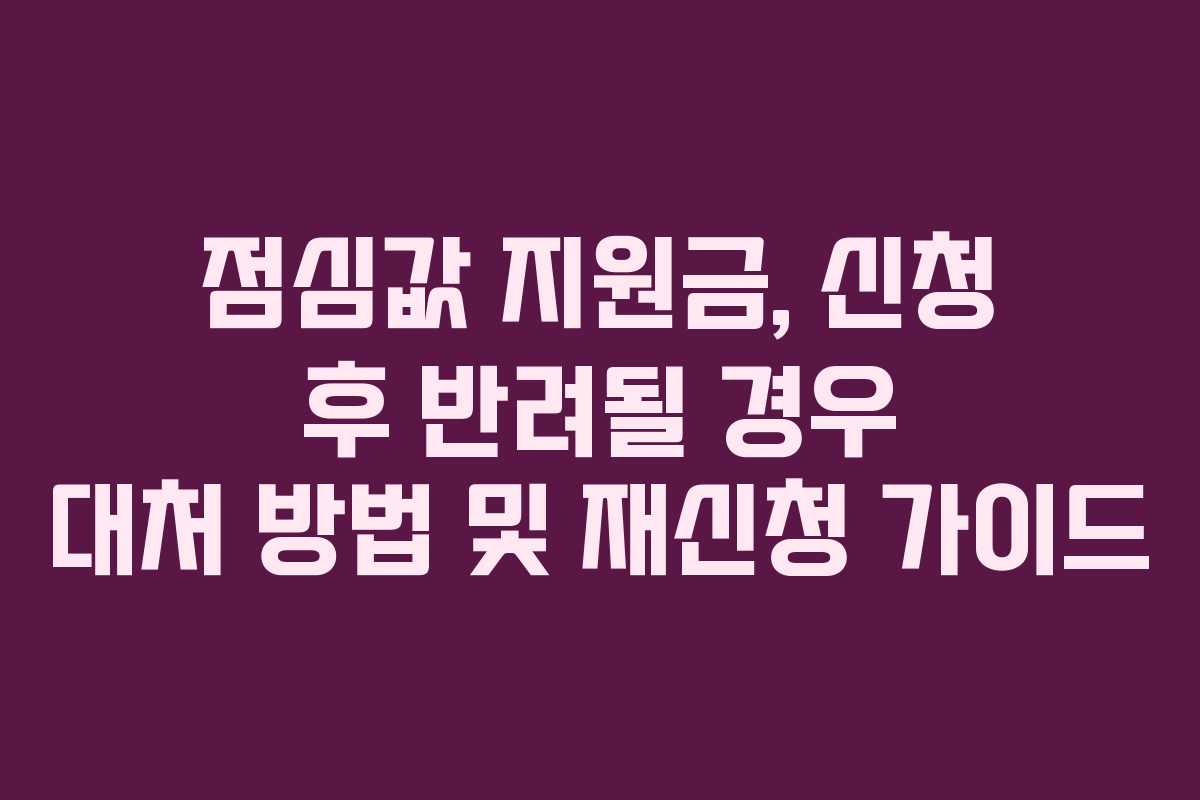 점심값 지원금, 신청 후 반려될 경우 대처 방법 및 재신청 가이드