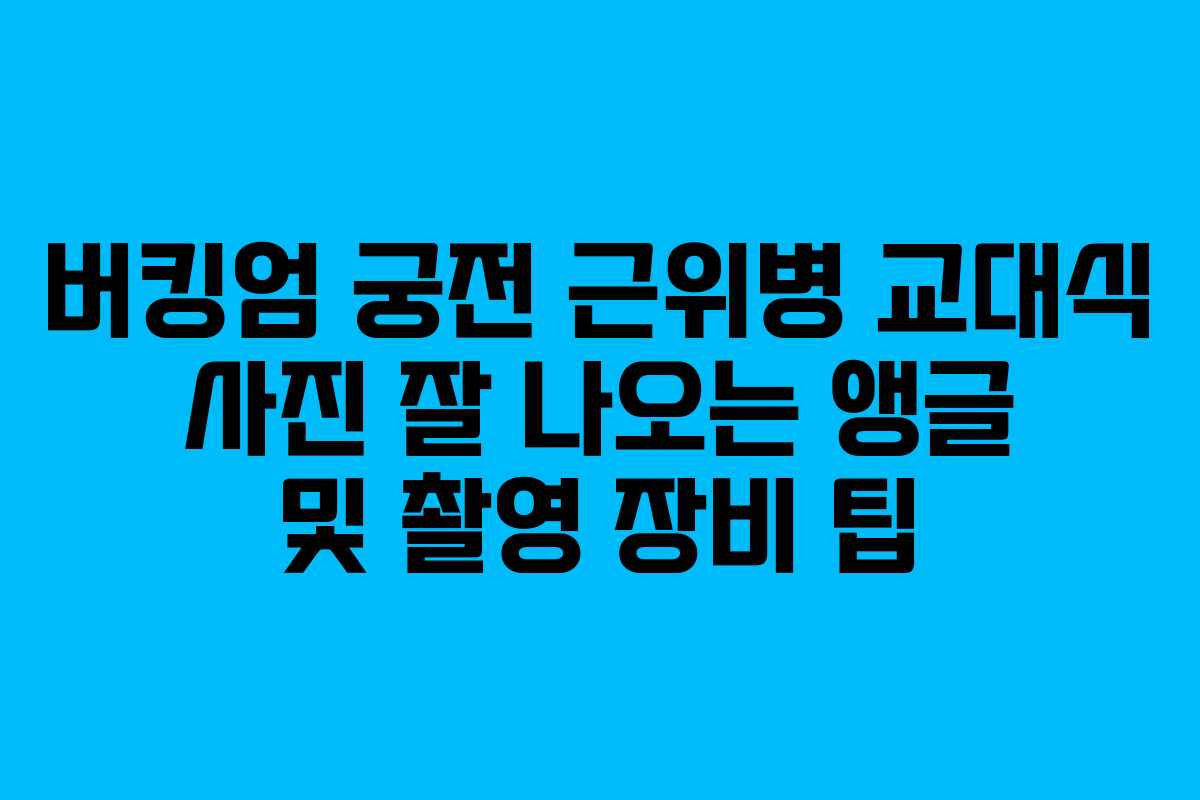 버킹엄 궁전 근위병 교대식 사진 잘 나오는 앵글 및 촬영 장비 팁