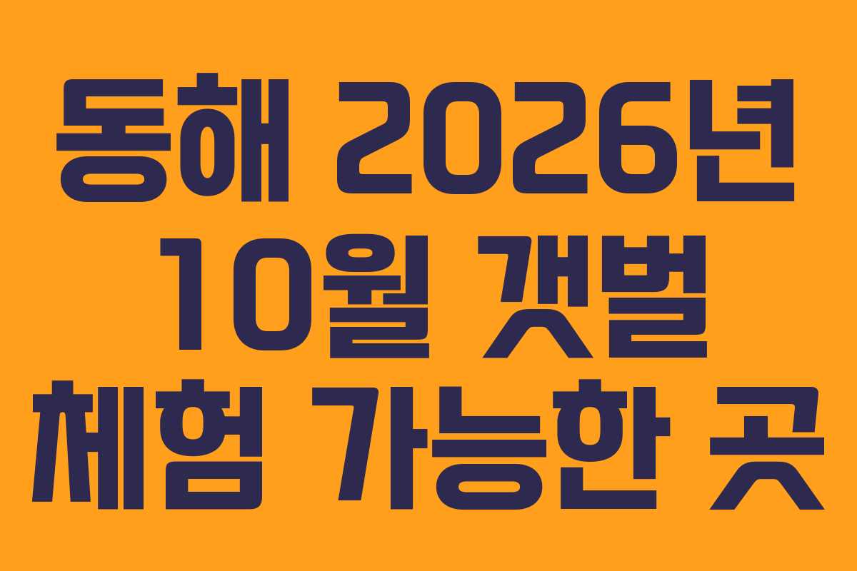 동해 2026년 10월 갯벌 체험 가능한 곳