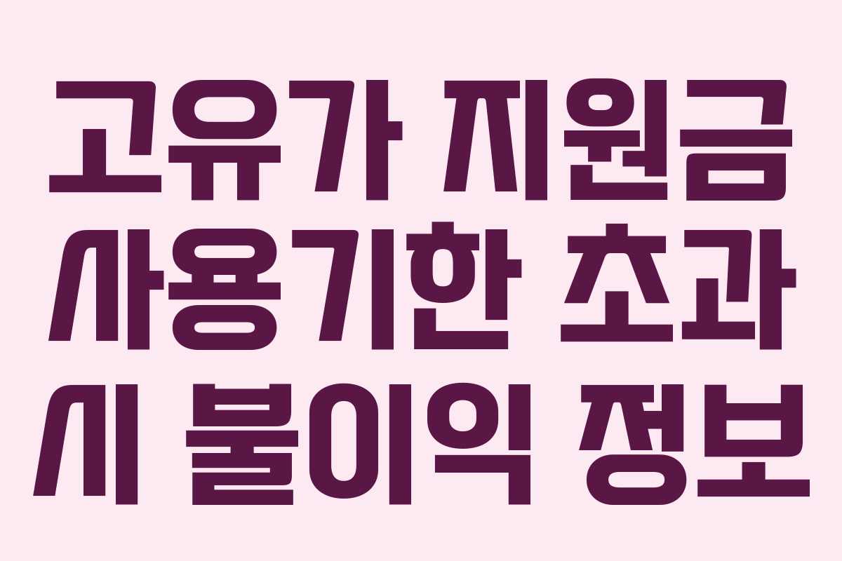고유가 지원금 사용기한 초과 시 불이익 정보