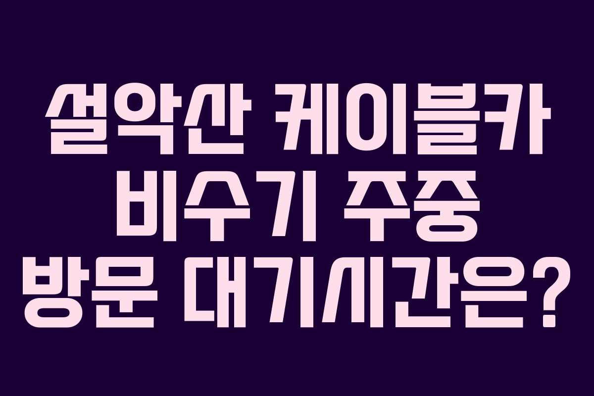 설악산 케이블카 비수기 주중 방문 대기시간은? 설악산 케이블카 비수기 주중 방문 대기시간은?