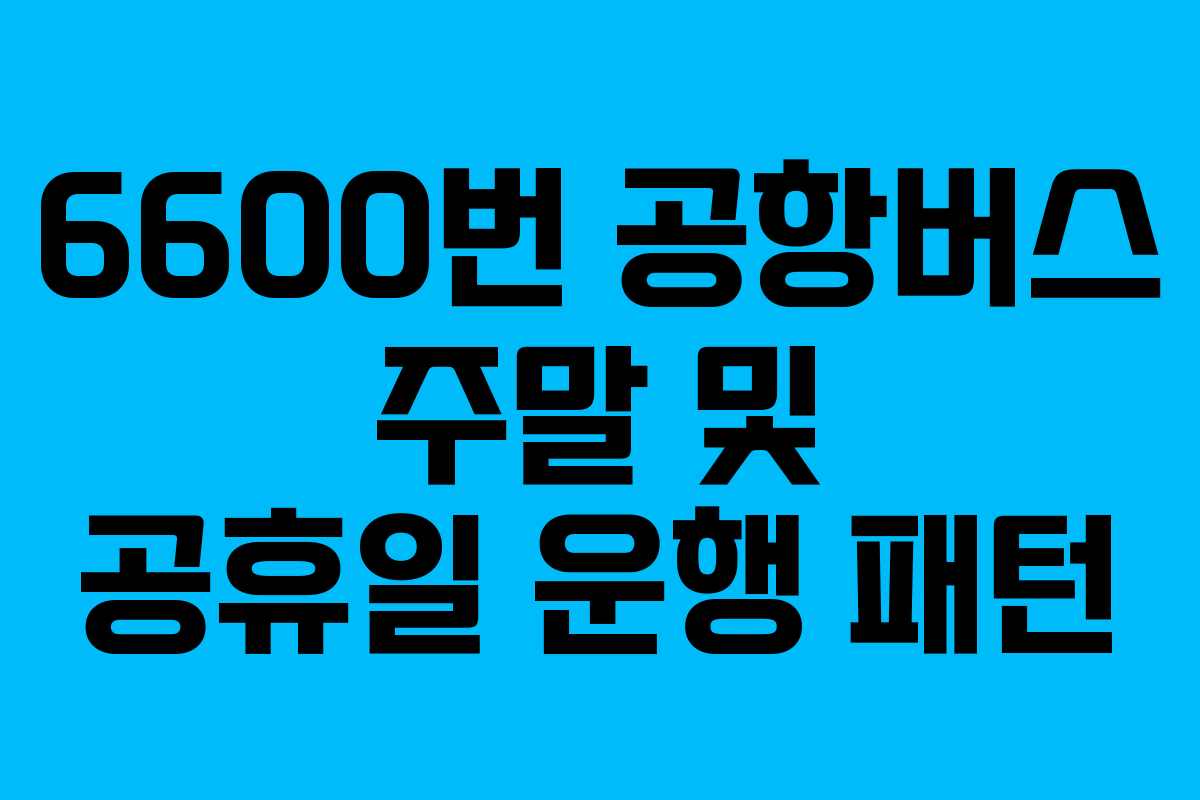 6600번 공항버스 주말 및 공휴일 운행 패턴 6600번 공항버스 주말 및 공휴일 운행 패턴