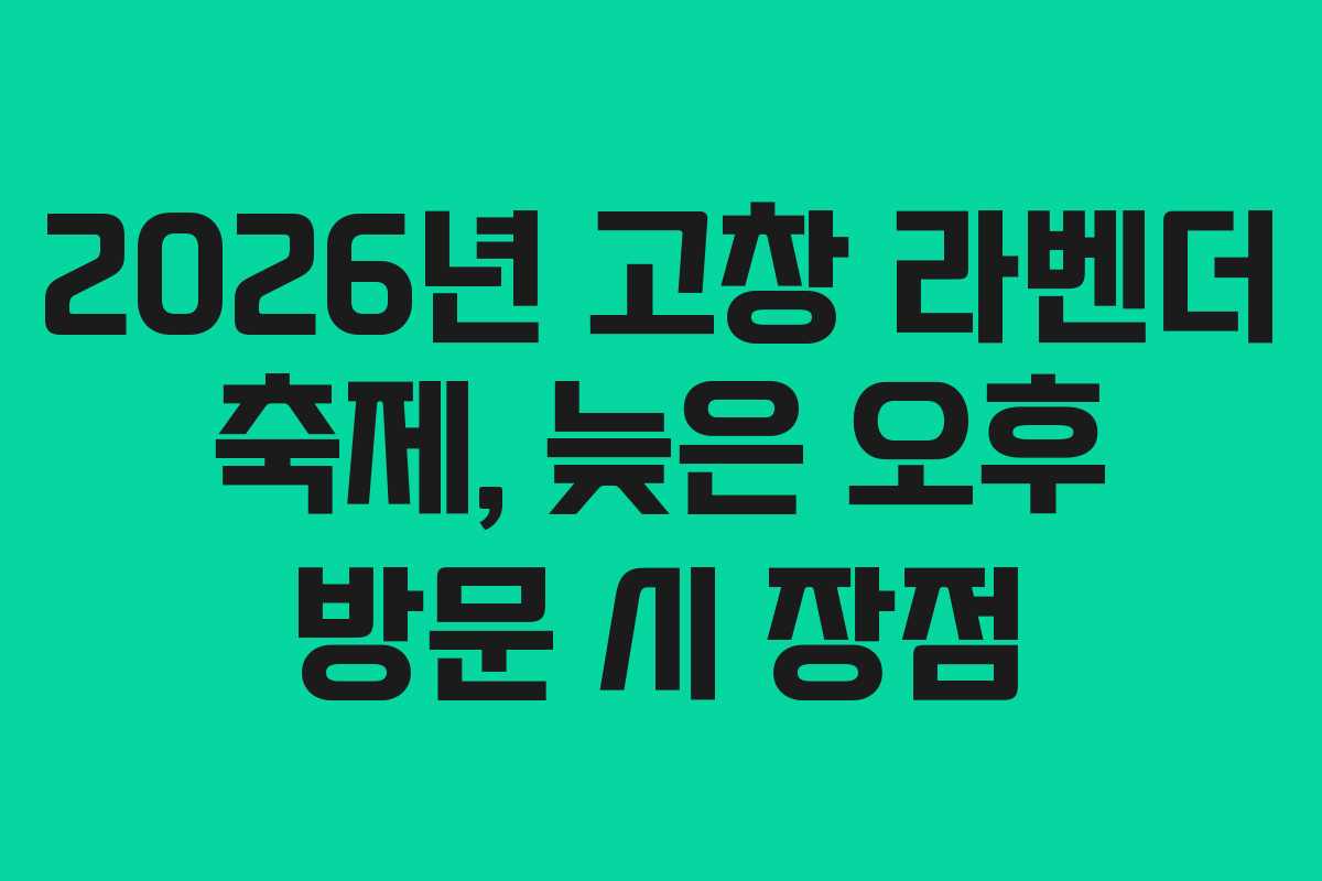 2026년 고창 라벤더 축제, 늦은 오후 방문 시 장점