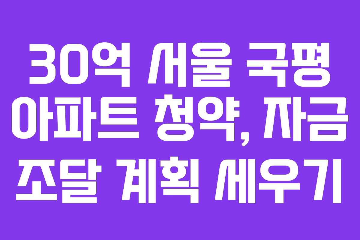30억 서울 국평 아파트 청약, 자금 조달 계획 세우기
