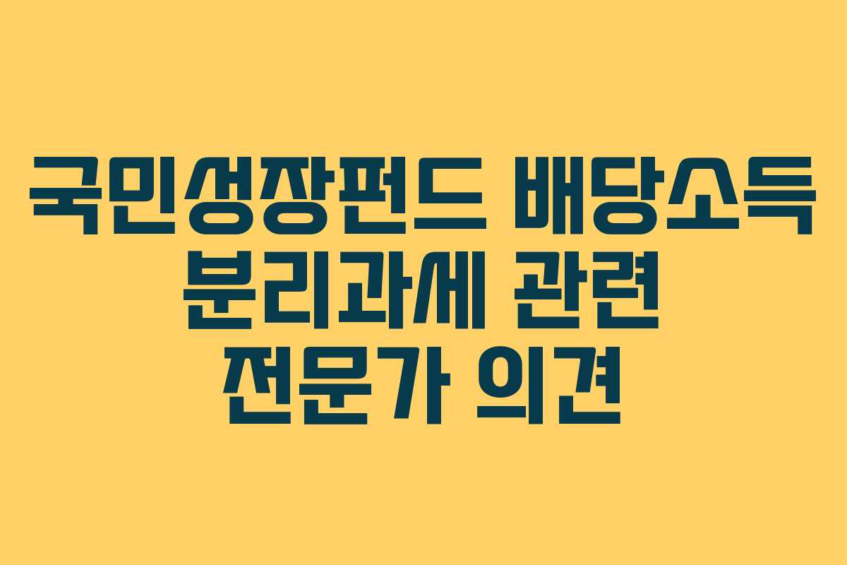 국민성장펀드 배당소득 분리과세 관련 전문가 의견