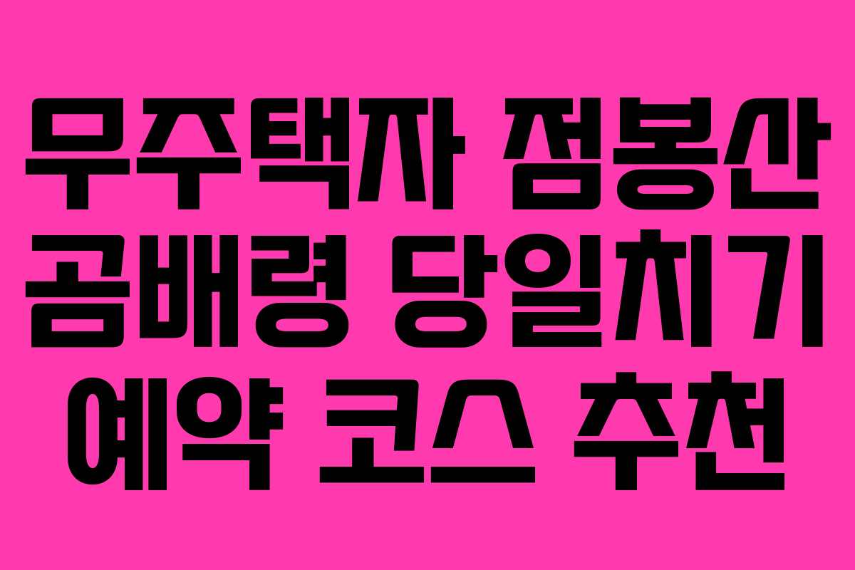 무주택자 점봉산 곰배령 당일치기 예약 코스 추천