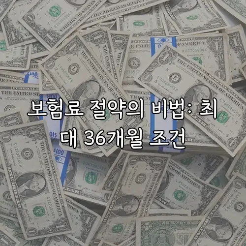 보험료 절약의 비법: 최대 36개월 조건