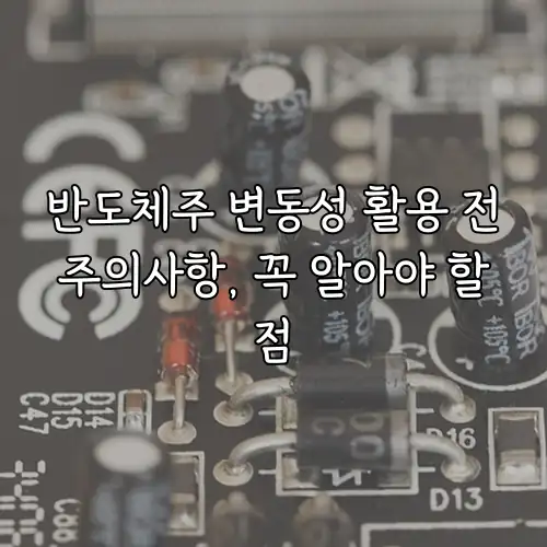 반도체주 변동성 활용 전 주의사항, 꼭 알아야 할 점